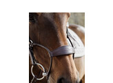 Hybrid bridle NE coll   Full/brown