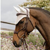 Hybrid bridle NE coll   Cob/brown