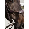 Elastic hybrid bridle NE coll   Over/brown