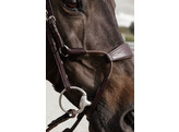 Elastic hybrid bridle NE coll   Cob/brown