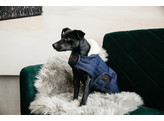 Dog coat pearls navy XS 31