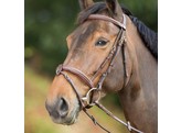 Anatomic Bridle Comb Noseb Brown Pony HFI