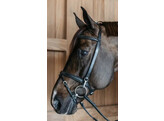 Training Bridle  Black Over Working By Dyon