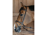 Training Bridle  Brown  Over Working By Dyon