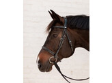 Cavesson Hunter Bridle   WBD  Cob/black