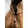 Elastic BIB Martingale  NE coll   Cob/brown