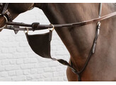 Elastic BIB Martingale  DY coll   Pony/brown