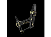 Leather rope halter black cob