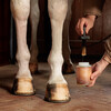 GD Hoof Oil shine Naturel 500ml