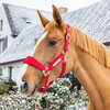 Velvet halter red cob