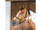 Leather halter Wellington black Cob