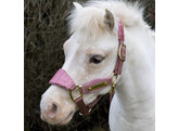 Velvet halter Unicorn Glitter Shetty
