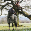 Turnout rug all weather waterproof pro autumn kaki 140-6 3 160 g