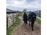 Turnout rug all weather waterproof comfort black 70-3 6 200 g