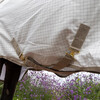 Sweet itch Fly   Summer sheet comfort white/beige 140-6 3
