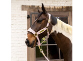 Velvet halter soft rose pony