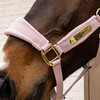 Velvet halter soft rose pony
