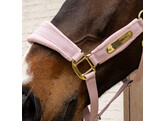 Velvet halter soft rose pony