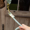 Lead rope basic mint 2m