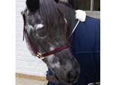 Nylon halter Breakaway bordeaux Pony