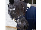 Nylon halter Breakaway navy Shetland Pony