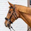 Hackamore Black cob New English Collection