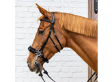 Hackamore Black cob New English Collection