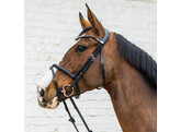 Medium Flash noseband Bridle Soft Leathersoft coll Pony/black