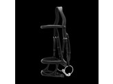 Double Noseband Bridle Black FULL US Collection