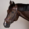 X-Fit Bridle Black Full US Collection