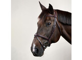 Flash Noseband Double Bridle Brown COB NEC
