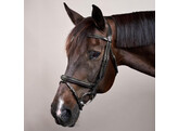 Plaited Flash noseb Bridle Brown Cob  NEC