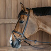 Training Bridle  Brown  Pony WBD