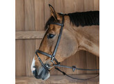 Training Bridle  Brown  Pony WBD