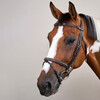 Flash noseband Bridle with snaps Black Cob WBD