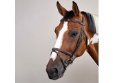 Flash noseband Bridle with snaps Black Cob WBD