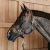 Plaited Halter Black Pony Working By Dyon