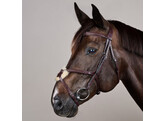 Plaited Figure 8 Bridle  BLACK FULL