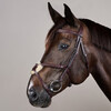 Plaited Figure 8 Bridle  BROWN FULL