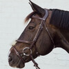 Plaited Figure 8 Noseband BLACK OVER