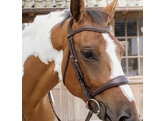 Anatomic noseband without flash BLACK OVER