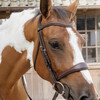 Anatomic noseband without flash BROWN OVER