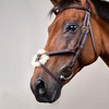 Plaited Figure 8 Bridle  BROWN COB D  COLL