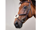 Plaited Figure 8 Bridle  BROWN OVER D  COLL
