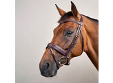 Plaited Flash Noseband Bridle with Pull back Black Cob D Col