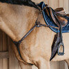 5 points breastplate with elastic Black Pony D