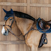5 points breastplate with elastic Brown  Over D