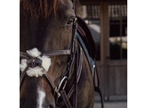 Plaited Figure 8 Noseband BLACK FULL