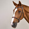 Dyon Bitless Bridle Brown  Pony WBD