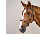 Dyon Bitless Bridle Brown  Pony WBD